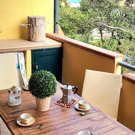 Mikey Con Terrazza